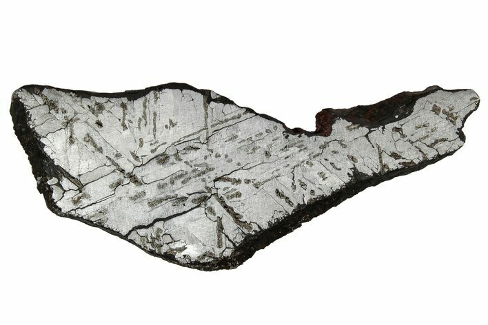 Etched Canyon Diablo Meteorite Slice ( g) - Arizona #356085